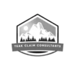 teakautoclaimsco.com